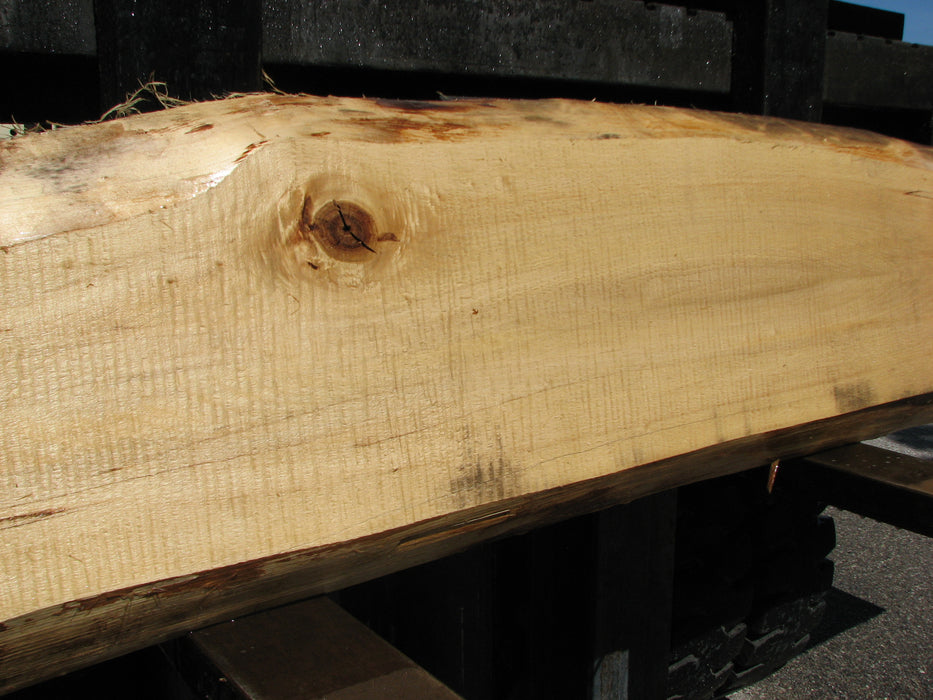 Cottonwood #6808 - 2-1/4" x 5-1/2" to 12-1/4" x 117" FREE SHIPPING within the Contiguous US. freeshipping - Big Wood Slabs
