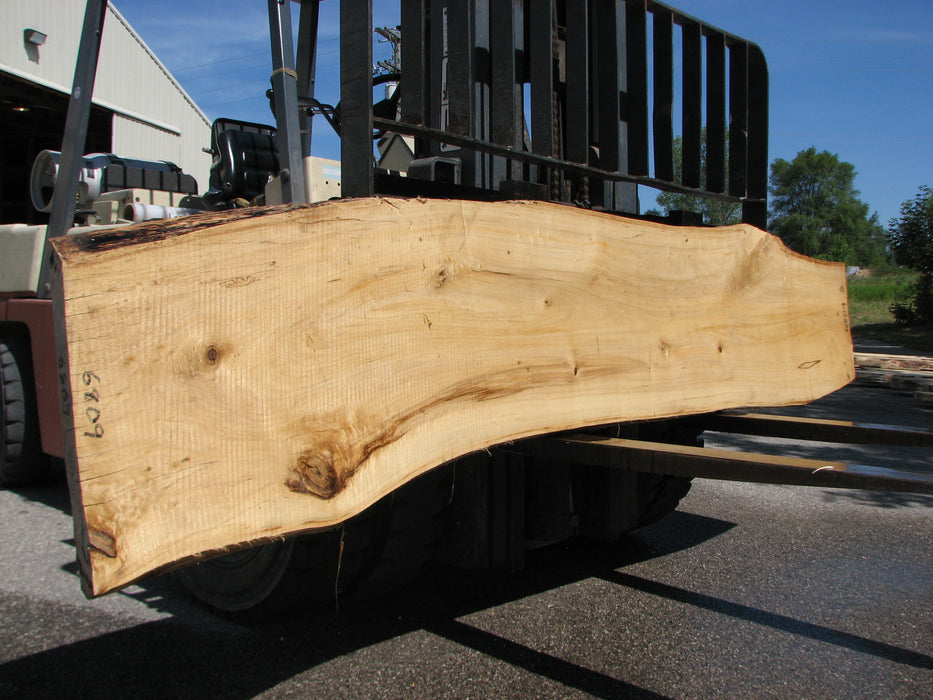 Cottonwood #6809 - 2-1/4" x 17-1/2" to 22-3/4" x 122" FREE SHIPPING within the Contiguous US. freeshipping - Big Wood Slabs