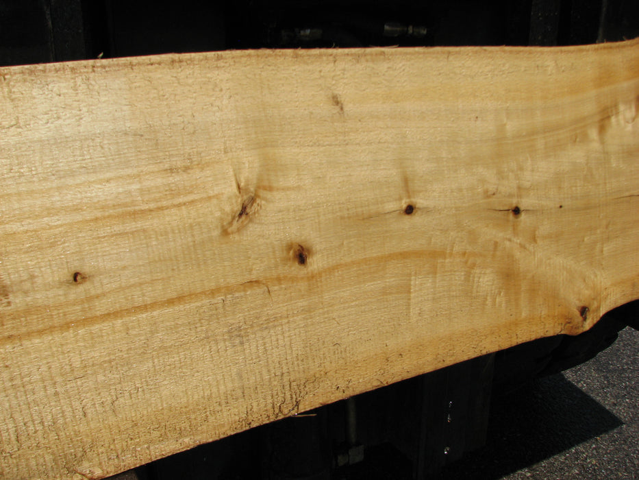 Cottonwood #6820 - 3-1/2" x 8" to 9-1/2" x 76" FREE SHIPPING within the Contiguous US. freeshipping - Big Wood Slabs