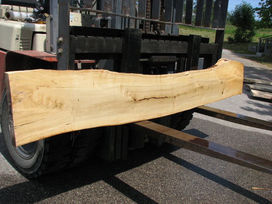 Cottonwood #6821 - 2-1/4" x 10-1/4" to 15" x 101" FREE SHIPPING within the Contiguous US. freeshipping - Big Wood Slabs
