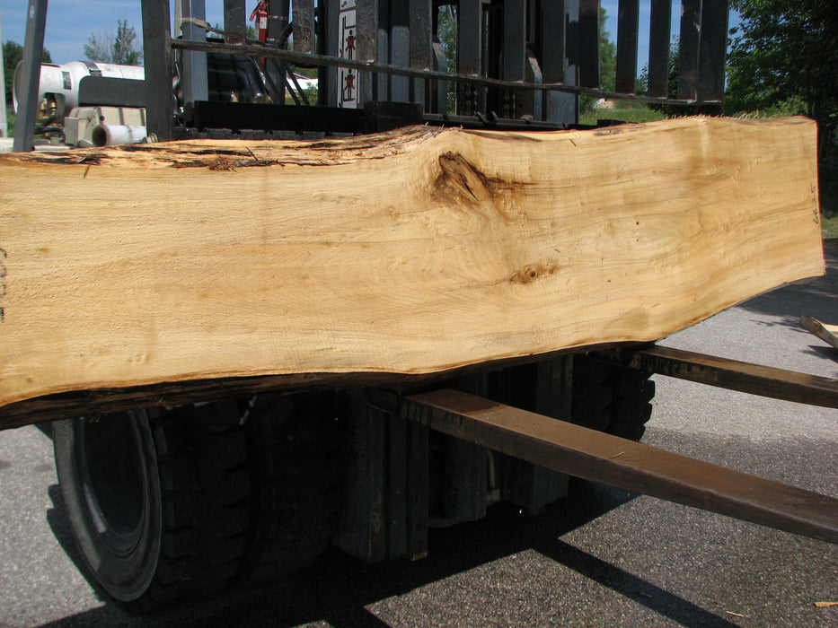 Cottonwood #6825 - 2-1/2" x 14" to 22" x 106" FREE SHIPPING within the Contiguous US. freeshipping - Big Wood Slabs