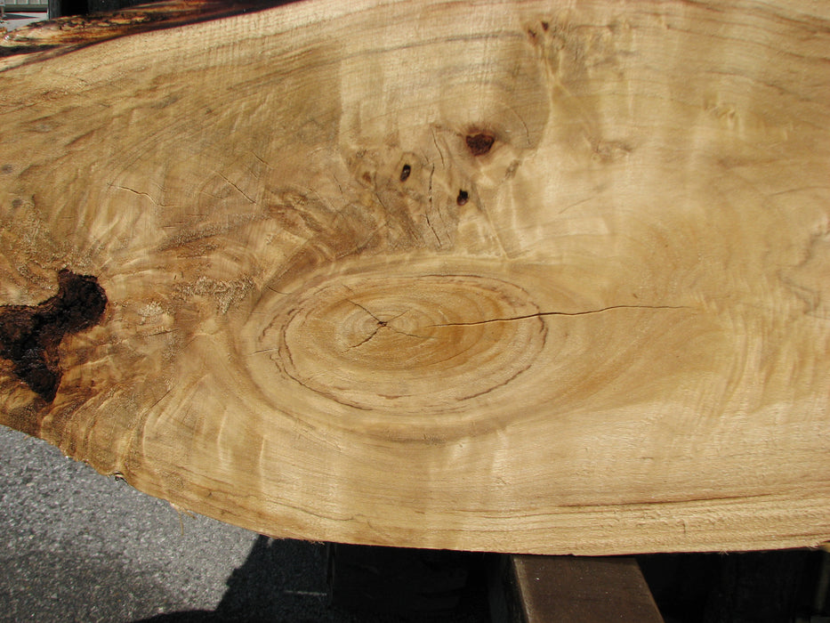 Cottonwood #6829 - 2-1/4" x 18-1/4" to 21" x 79" FREE SHIPPING within the Contiguous US. freeshipping - Big Wood Slabs