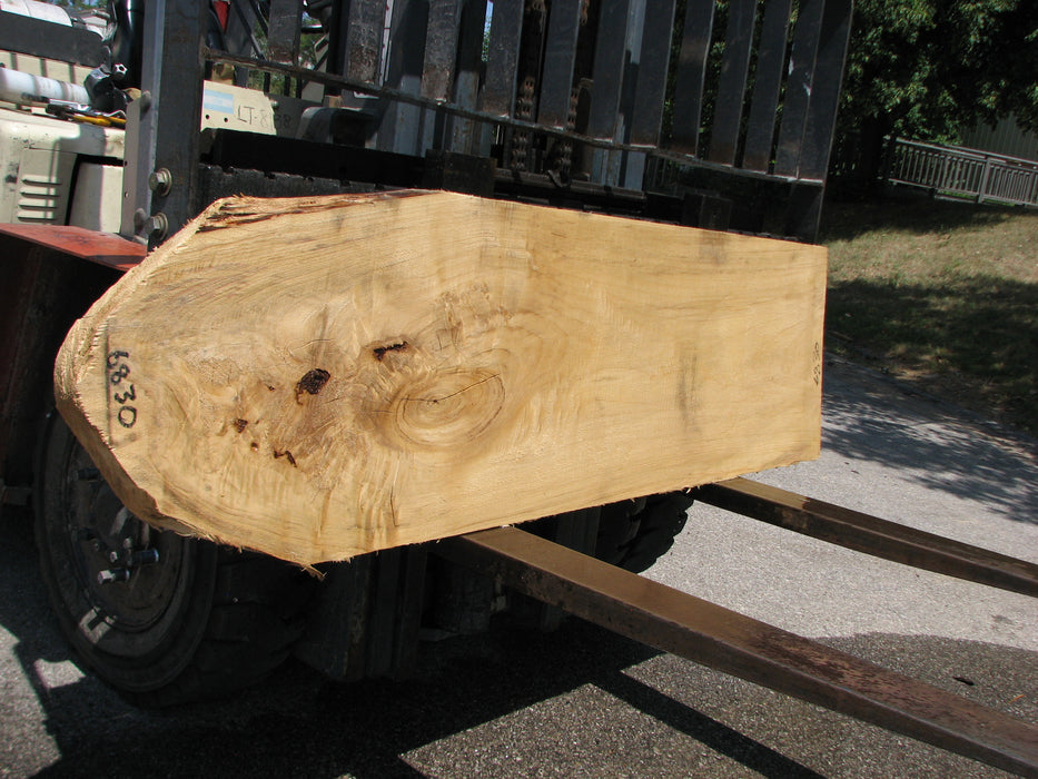 Cottonwood #6830 - 2-1/4" x 20-1/4" to 21" x 77" FREE SHIPPING within the Contiguous US. freeshipping - Big Wood Slabs