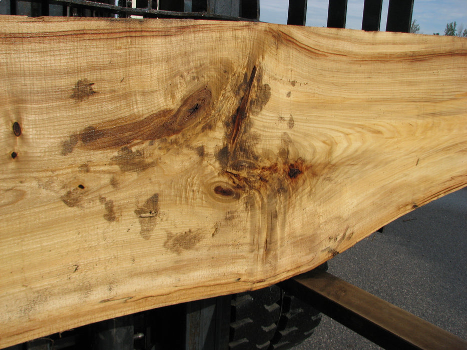 Cottonwood #6847 - 2-1/4" x 16-1/2" - 25-3/4" x 124" FREE SHIPPING within the Contiguous US. freeshipping - Big Wood Slabs