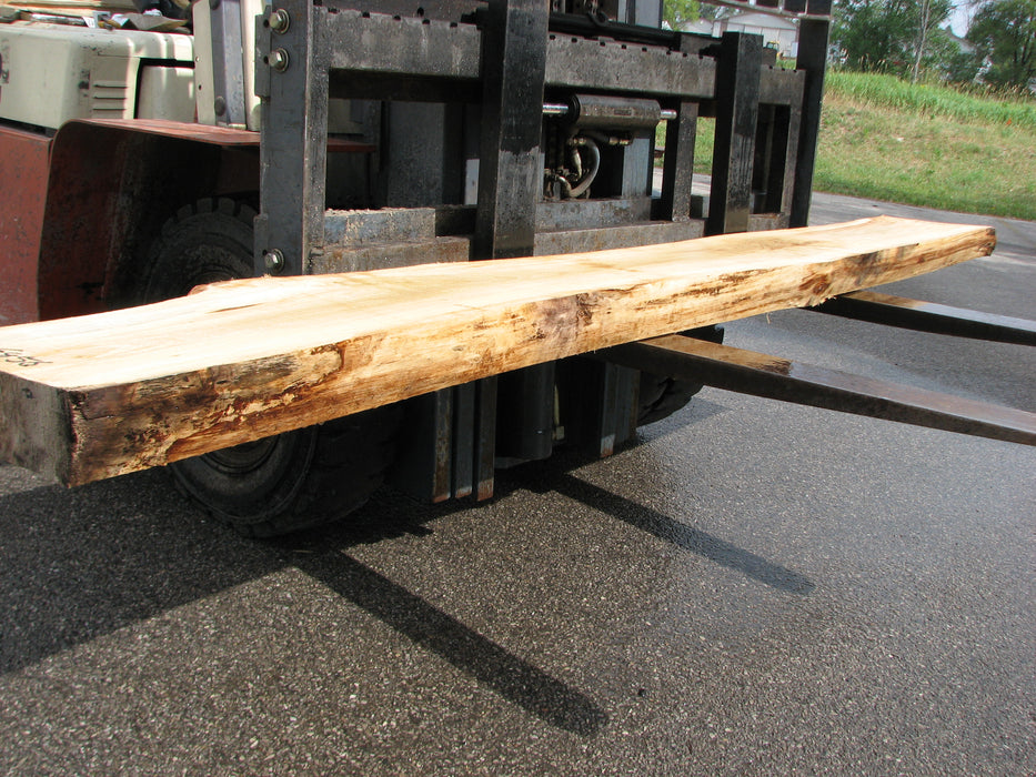 Cottonwood #6856 - 3-3/4" x 11-3/4" - 15" x 125" FREE SHIPPING within the Contiguous US. freeshipping - Big Wood Slabs