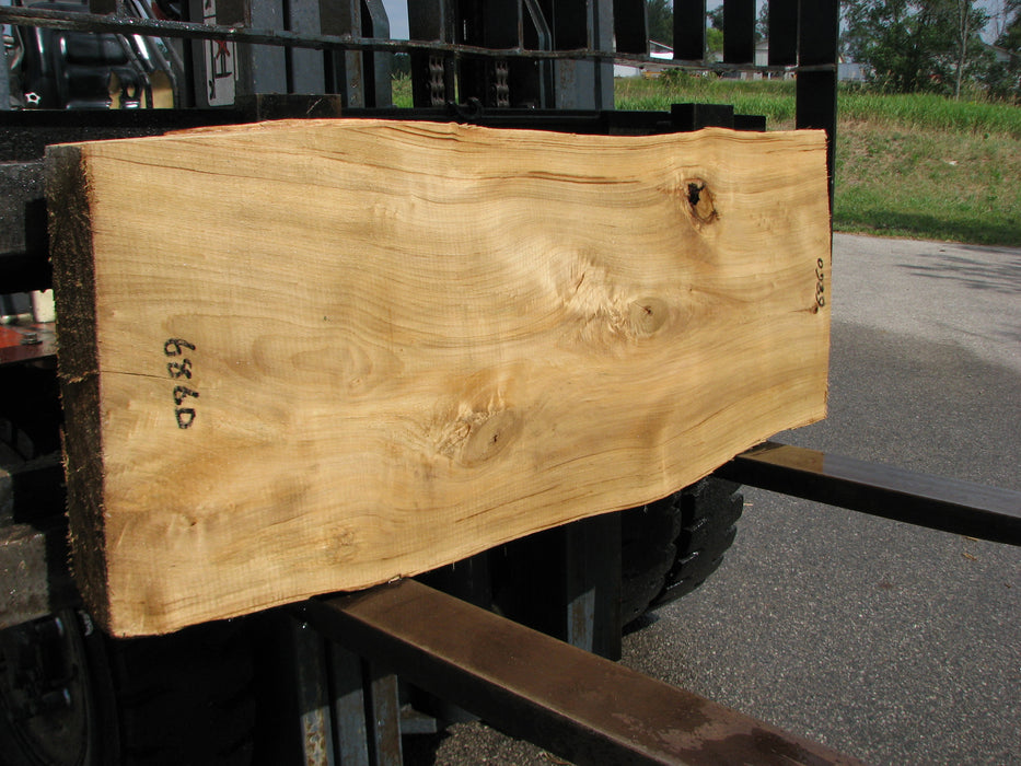 Cottonwood #6860 - 3" x 19" - 21" x 56" FREE SHIPPING within the Contiguous US. freeshipping - Big Wood Slabs