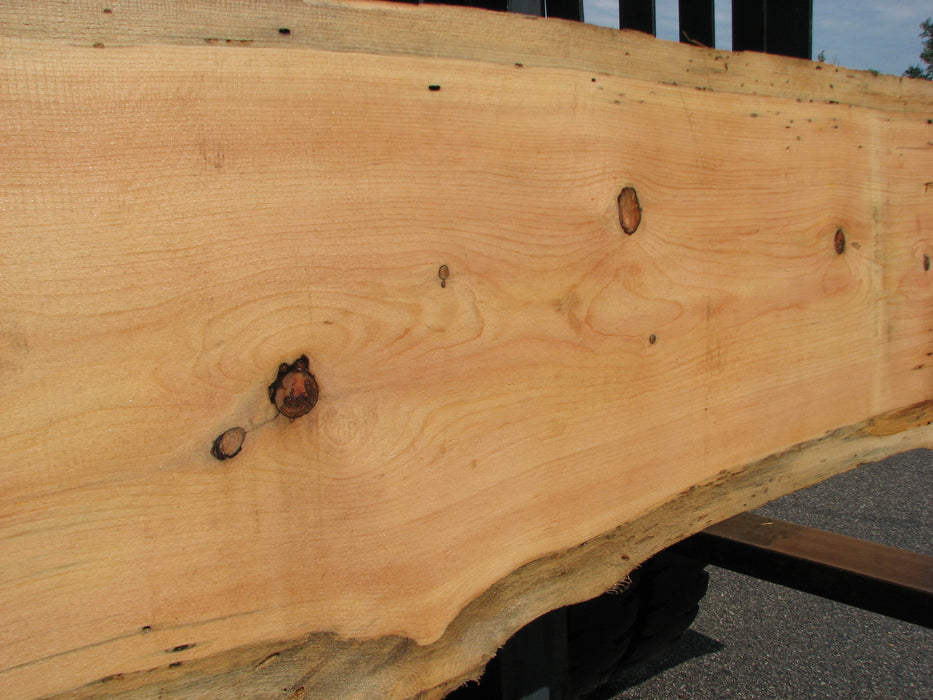 eastern white pine lumber