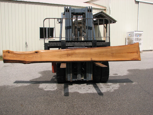 Red Oak #6867 - 2-1/4" x 11-1/4" to 15-1/2" x 147" FREE SHIPPING within the Contiguous US. freeshipping - Big Wood Slabs