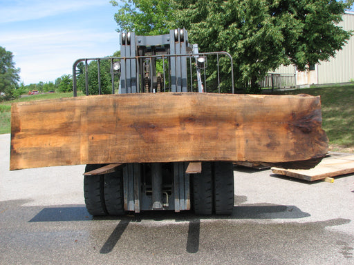 Red Oak #6876(JS) - 2-3/8" x 25" to 30" x 138" FREE SHIPPING within the Contiguous US. freeshipping - Big Wood Slabs