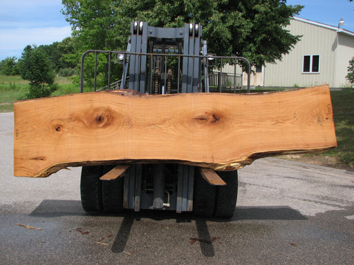 Red Oak #6883(JS) - 3" x 24" to 32" x 134" FREE SHIPPING within the Contiguous US. freeshipping - Big Wood Slabs
