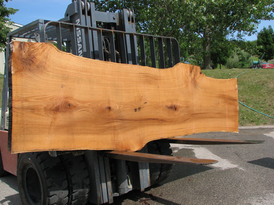 Red Oak #6884(JS) - 3" x 27-1/2" to 34" x 134" FREE SHIPPING within the Contiguous US. freeshipping - Big Wood Slabs