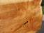 Willow #6892 (JS) 3" x 21" x 35" x 69" FREE SHIPPING within the Contiguous US. freeshipping - Big Wood Slabs