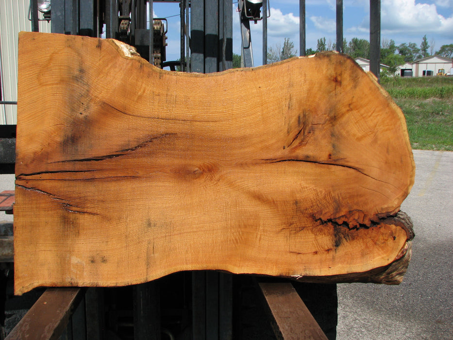 Red Oak #6895(JS) - 3" x 29 to 35" x 54" FREE SHIPPING within the Contiguous US. freeshipping - Big Wood Slabs