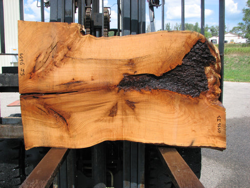 Red Oak #6896(JS) - 3" x 28-1/2" to 35" x 52" FREE SHIPPING within the Contiguous US. freeshipping - Big Wood Slabs