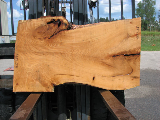 Red Oak #6897(JS) - 3" x 23" to 34" x 58" FREE SHIPPING within the Contiguous US. freeshipping - Big Wood Slabs