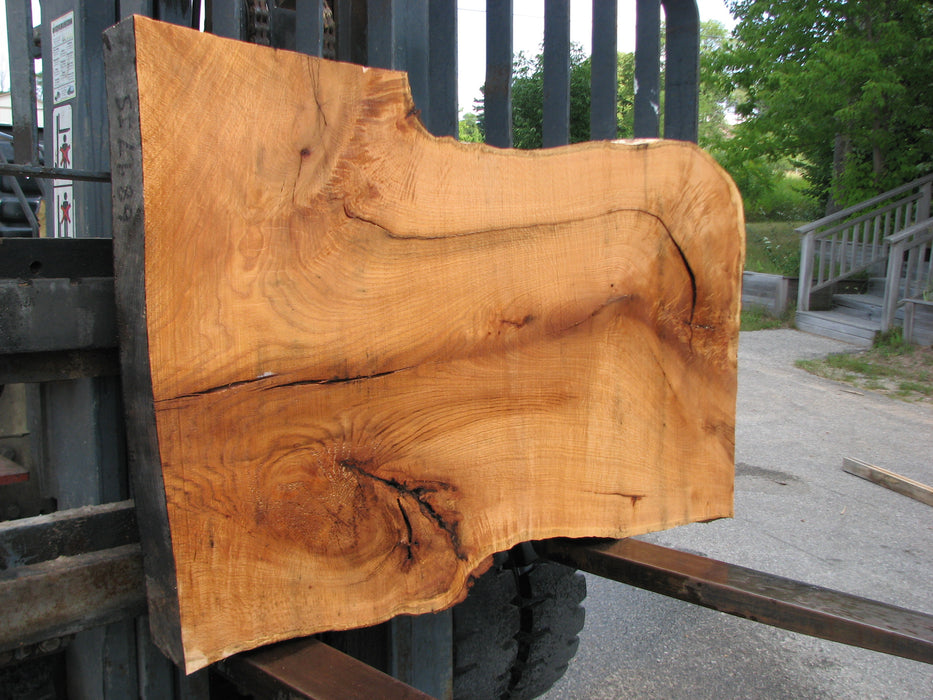 Red Oak #6897(JS) - 3" x 23" to 34" x 58" FREE SHIPPING within the Contiguous US. freeshipping - Big Wood Slabs