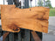 Red Oak #6898(JS) - 3" x 22-1/2" to 34" x 60" FREE SHIPPING within the Contiguous US. freeshipping - Big Wood Slabs