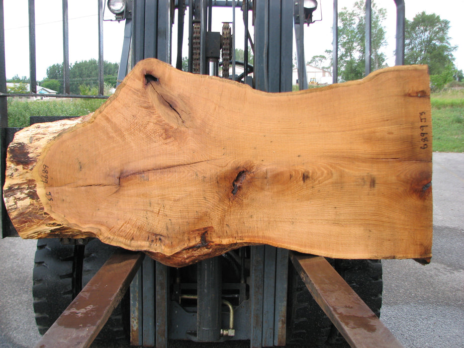 Red Oak #6899(JS) - 3" x 18" to 33" x 68" FREE SHIPPING within the Contiguous US. freeshipping - Big Wood Slabs
