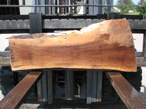 Walnut, American #7012 (JS) - 1-1/2" x 12-1/2" to 21" x 49" FREE SHIPPING within the Contiguous US. freeshipping - Big Wood Slabs