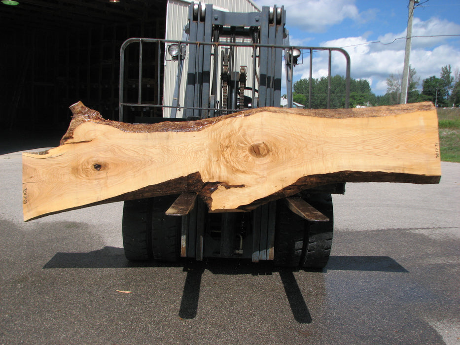 Ash #7017 (JS) - 3" x 12" to 27" x 129" FREE SHIPPING within the Contiguous US. freeshipping - Big Wood Slabs