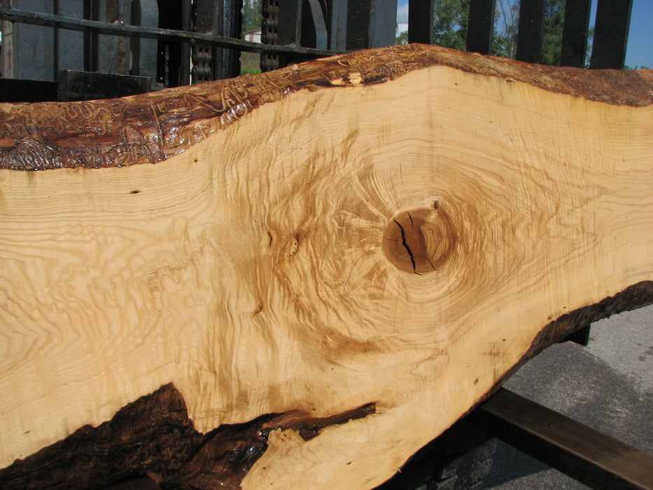 Ash #7017 (JS) - 3" x 12" to 27" x 129" FREE SHIPPING within the Contiguous US. freeshipping - Big Wood Slabs