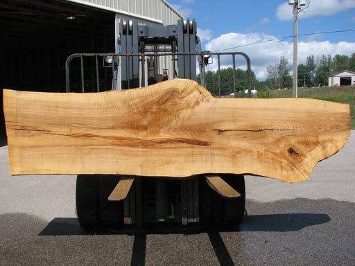Ash #7021 (JS) - 3" x 30" to 38" x 132" FREE SHIPPING within the Contiguous US. freeshipping - Big Wood Slabs
