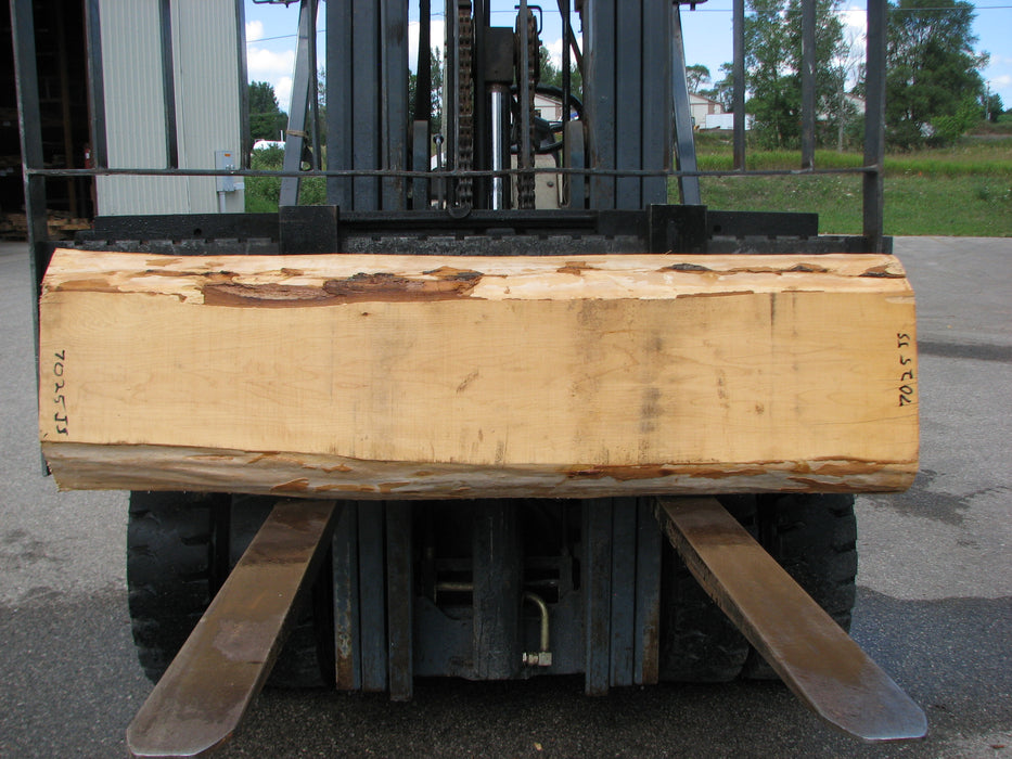 Maple #7025 (JS) - 4" x 12" to 14" x 70" FREE SHIPPING within the Contiguous US. freeshipping - Big Wood Slabs