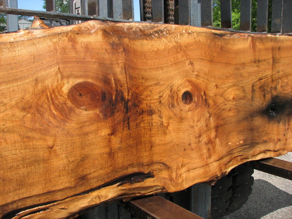 Butternut, White Walnut #7027 (JS) - 3" x 20" to 27" x 141" FREE SHIPPING within the Contiguous US. freeshipping - Big Wood Slabs