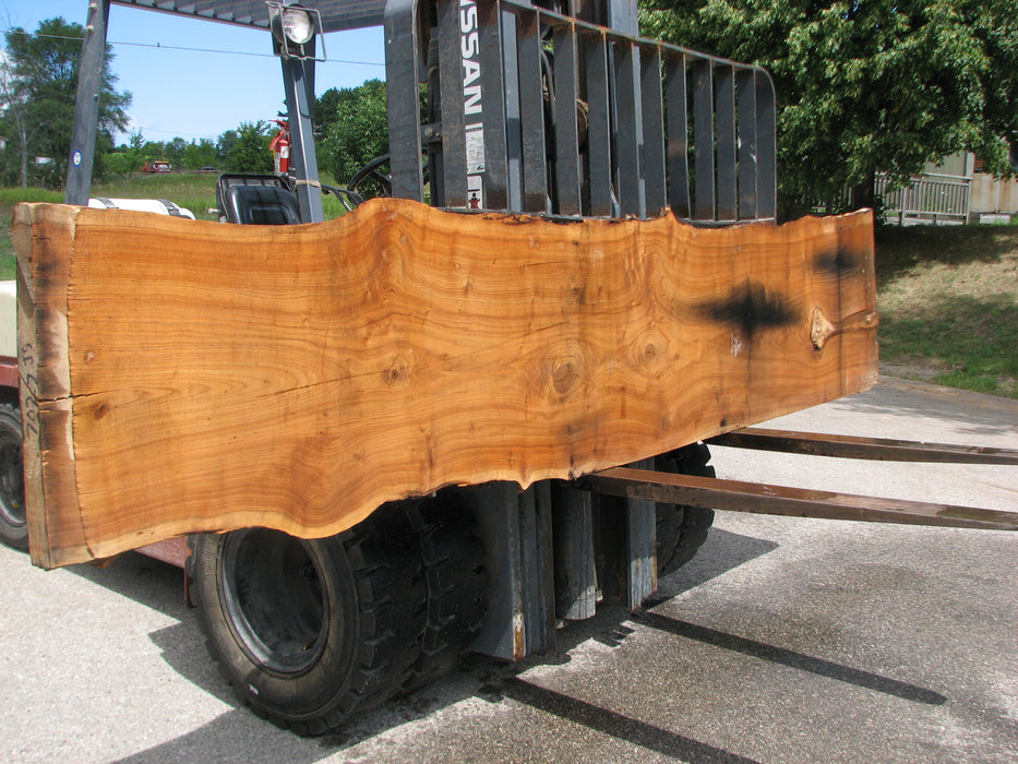 Butternut, White Walnut #7027 (JS) - 3" x 20" to 27" x 141" FREE SHIPPING within the Contiguous US. freeshipping - Big Wood Slabs