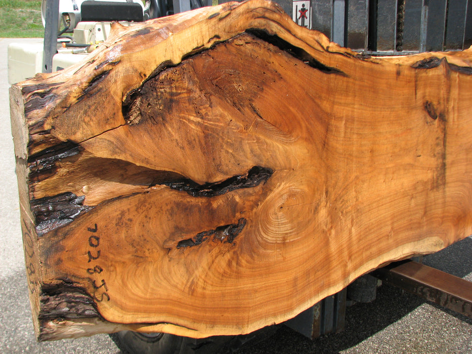 Butternut, White Walnut #7028 (JS) - 3" x 23" to 26" x 110" FREE SHIPPING within the Contiguous US. freeshipping - Big Wood Slabs