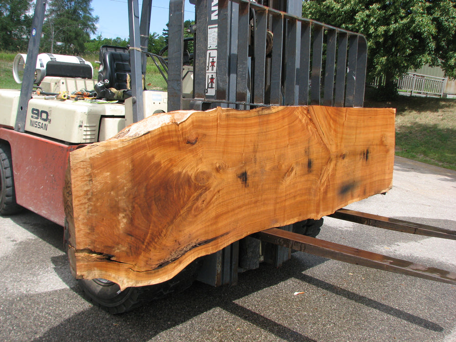 Butternut, White Walnut #7028 (JS) - 3" x 23" to 26" x 110" FREE SHIPPING within the Contiguous US. freeshipping - Big Wood Slabs