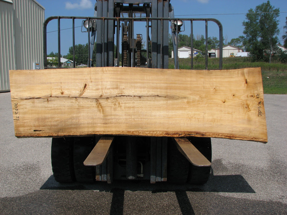 Cottonwood #7032 (JS) - 2-3/4" x 25" to 29" x 99" FREE SHIPPING within the Contiguous US. freeshipping - Big Wood Slabs