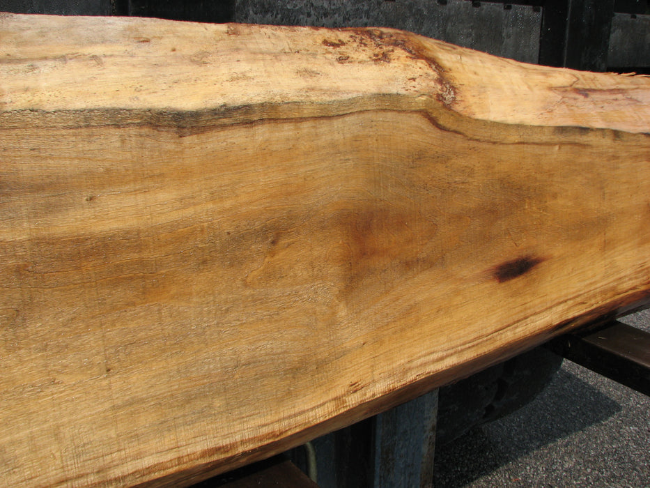 Cottonwood #7037 (JS) - 3" x 9-1/2" to 18" x 99" FREE SHIPPING within the Contiguous US. freeshipping - Big Wood Slabs