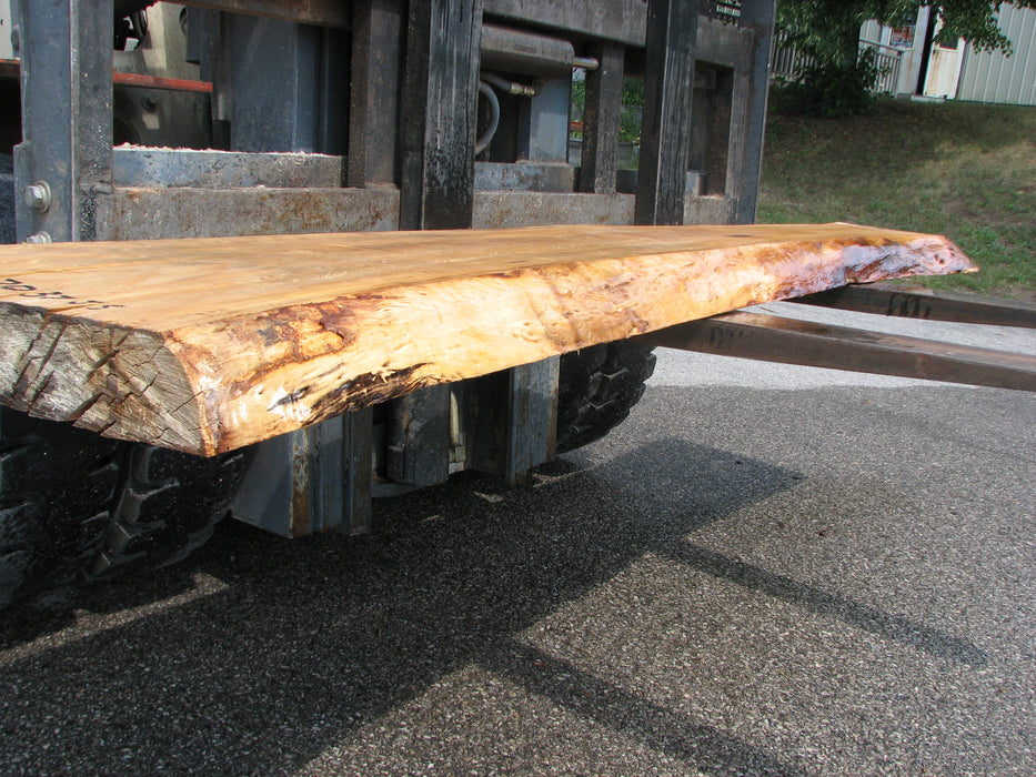 Cottonwood #7037 (JS) - 3" x 9-1/2" to 18" x 99" FREE SHIPPING within the Contiguous US. freeshipping - Big Wood Slabs