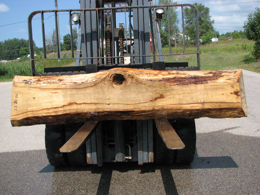 Cottonwood #7038 (JS) - 3" x 10" to 16-1/2" x 94" FREE SHIPPING within the Contiguous US. freeshipping - Big Wood Slabs