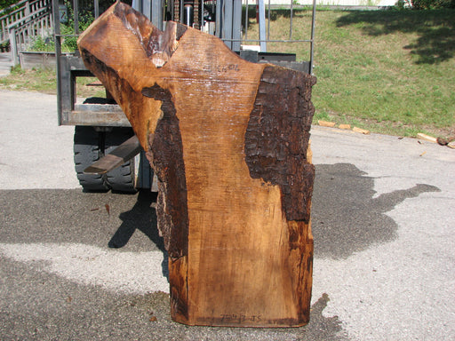 Walnut, American #7043 (JS) - 2-1/4" x 11" to 21" x 32"-47" FREE SHIPPING within the Contiguous US. freeshipping - Big Wood Slabs