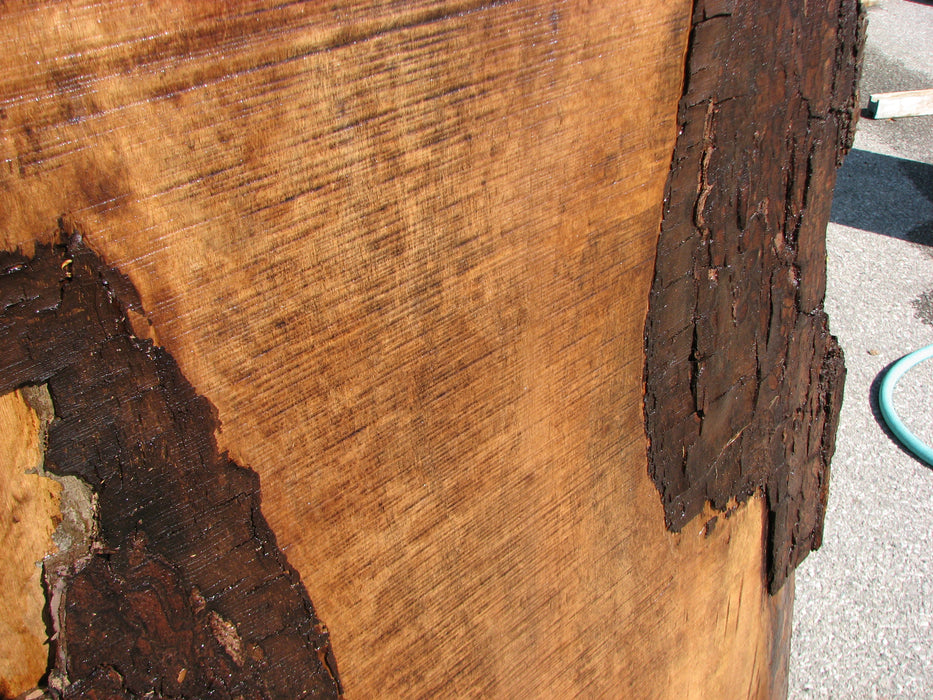 Walnut, American #7043 (JS) - 2-1/4" x 11" to 21" x 32"-47" FREE SHIPPING within the Contiguous US. freeshipping - Big Wood Slabs