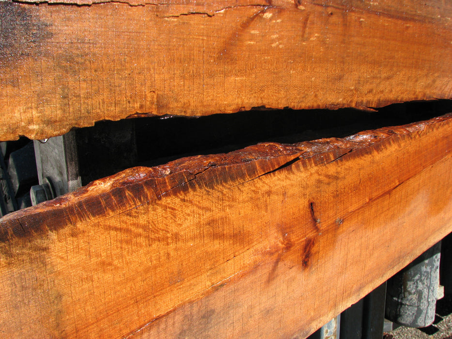 Cherry, American #7053 (JS) - 1-1/2" x 14" to 25" (SET) x 103" FREE SHIPPING within the Contiguous US. freeshipping - Big Wood Slabs