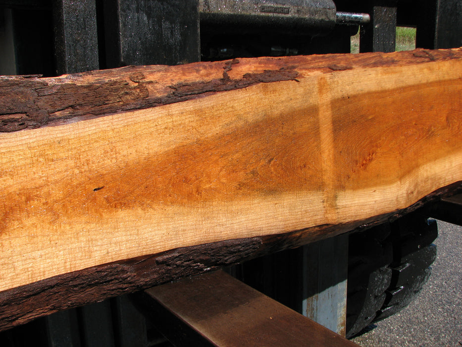 Cherry, American #7056 (JS) - 1-1/2" x 6-1/2" to 11" x 94" FREE SHIPPING within the Contiguous US. freeshipping - Big Wood Slabs