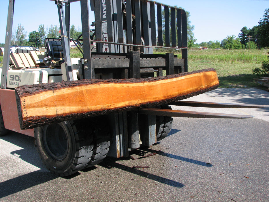 Cherry, American #7057 (JS) - 2-1/2" x 6" to 9" x 134" FREE SHIPPING within the Contiguous US. freeshipping - Big Wood Slabs