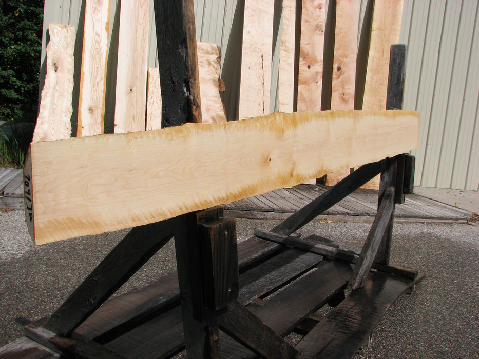 Maple, Birds Eye #7091(JW) - 7/8" x 3" to 8" x 104" FREE SHIPPING within the Contiguous US. freeshipping - Big Wood Slabs