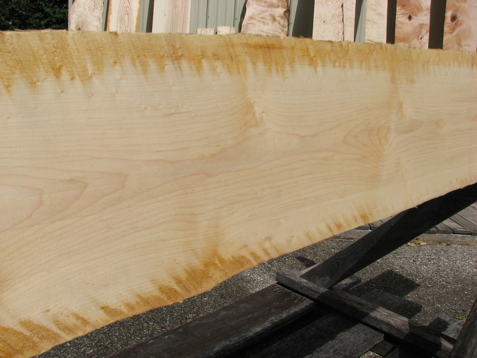 Maple, Birds Eye #7091(JW) - 7/8" x 3" to 8" x 104" FREE SHIPPING within the Contiguous US. freeshipping - Big Wood Slabs