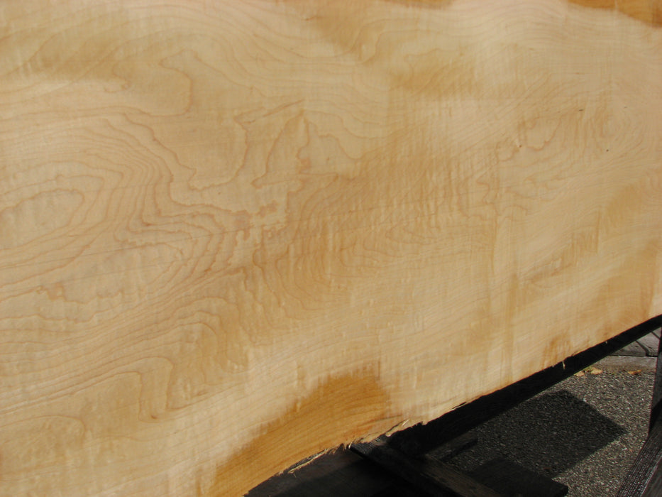 Maple, Curly #7098(JW) - 1-5/16" x 12-3/4" to 16" x 105" FREE SHIPPING within the Contiguous US. freeshipping - Big Wood Slabs