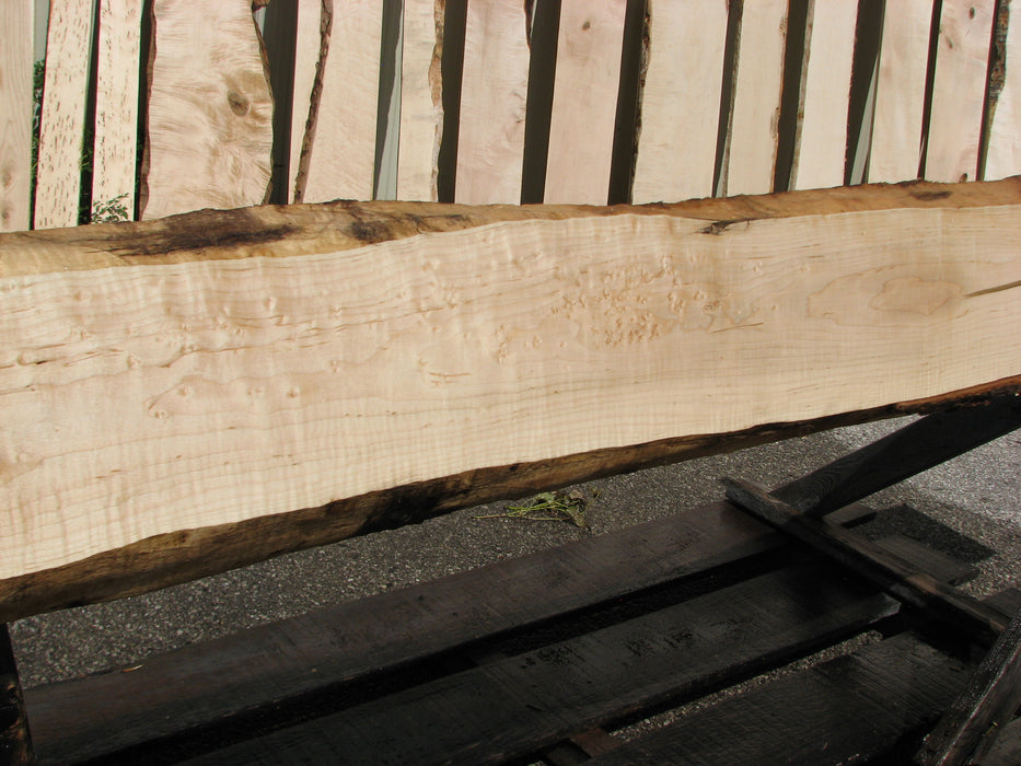 Maple, Birds Eye #7206(JW) - 1-7/16" x 6" to 9-1/2" x 108" FREE SHIPPING within the Contiguous US. freeshipping - Big Wood Slabs