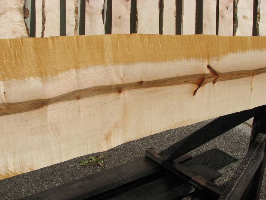 Maple, Birds Eye #7208(JW) - 7/8" x 9" to 11" x 104" FREE SHIPPING within the Contiguous US. freeshipping - Big Wood Slabs