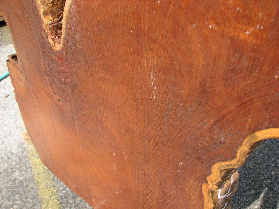 Garapa #7221 - 2-3/8" x 24" x 26" FREE SHIPPING within the Contiguous US. freeshipping - Big Wood Slabs