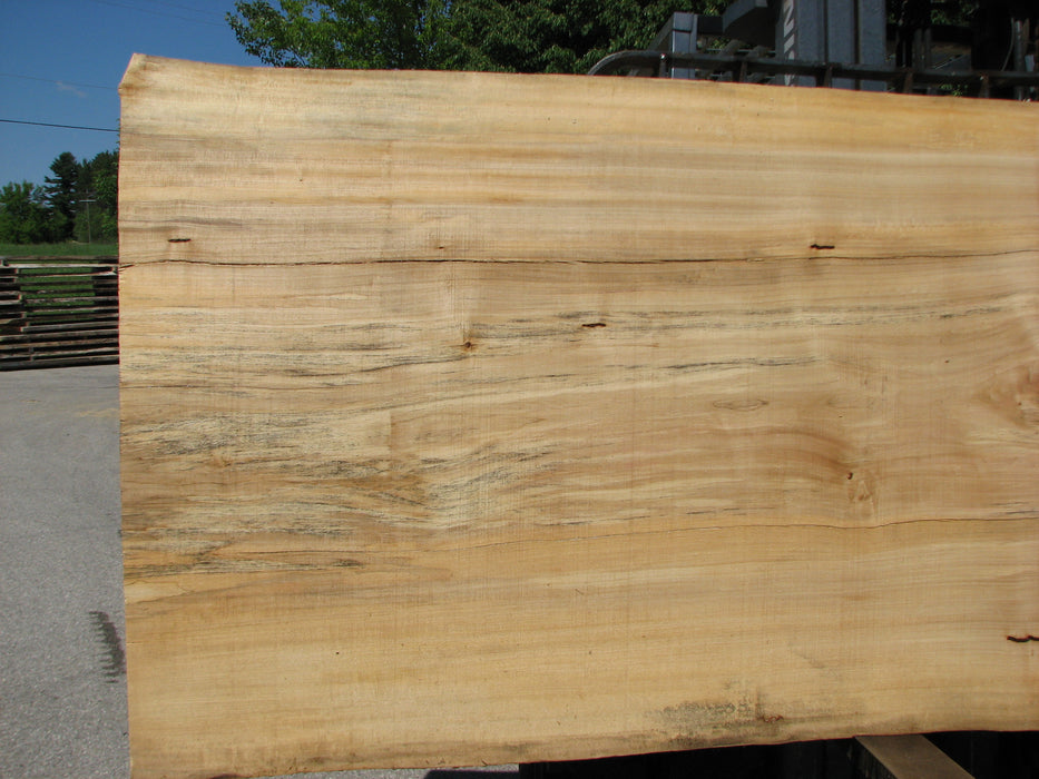Cottonwood #7296(OC) - 2-1/4" x 41" to 48" x 138" FREE SHIPPING within the Contiguous US. freeshipping - Big Wood Slabs