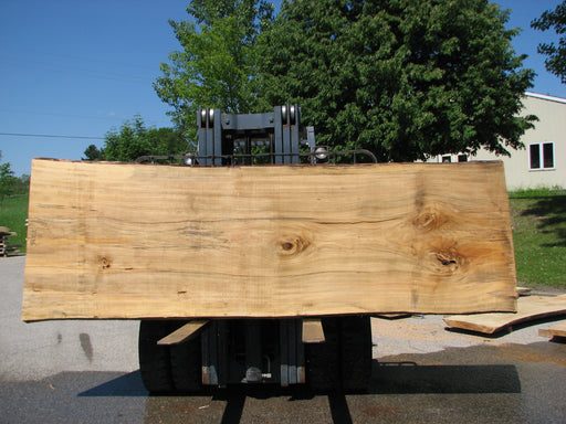 Cottonwood #7296(OC) - 2-1/4" x 41" to 48" x 138" FREE SHIPPING within the Contiguous US. freeshipping - Big Wood Slabs