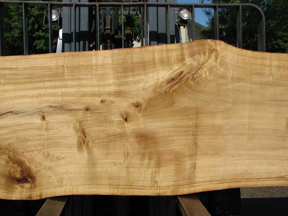 Cottonwood #7299(OC) - 2-1/2" x 31" to 39" x 147" FREE SHIPPING within the Contiguous US. freeshipping - Big Wood Slabs