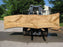 Cottonwood #7299(OC) - 2-1/2" x 31" to 39" x 147" FREE SHIPPING within the Contiguous US. freeshipping - Big Wood Slabs